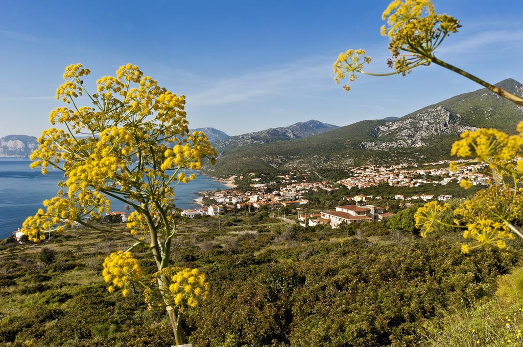 Hotel Brancamaria con Minicrociera nel Golfo Cala Gonone Exterior foto